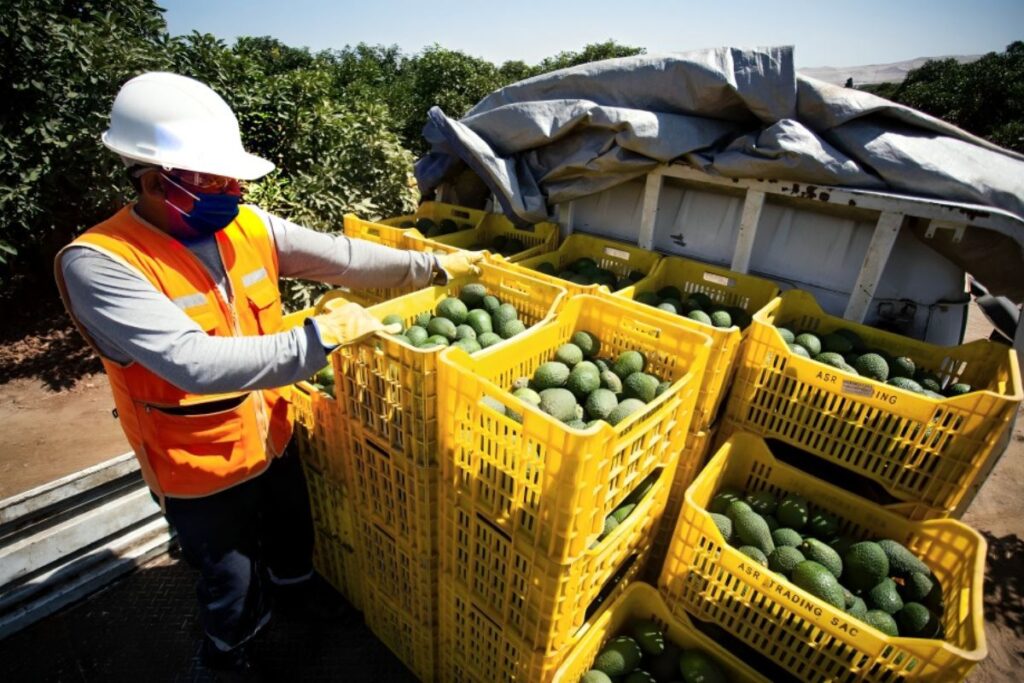 carga internacional tierra palta